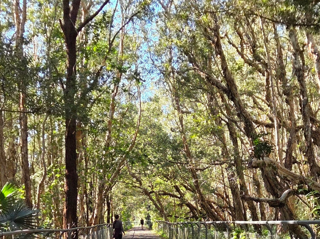 Fernleigh Track-纽卡斯尔必去景点