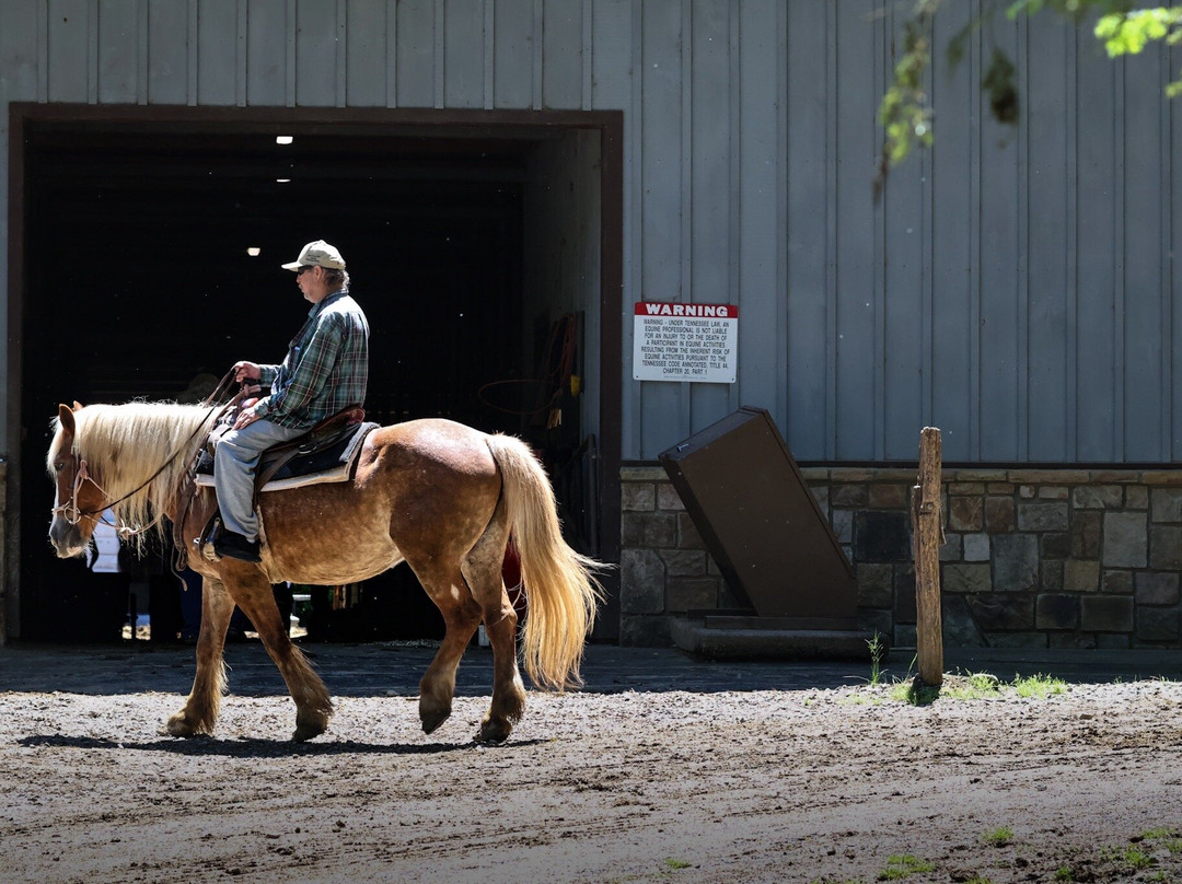 Sugarland Riding Stables-盖林柏格必去景点