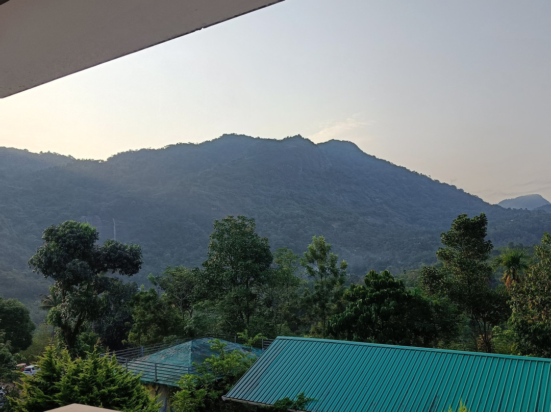 Green Kerala Tours & Travels-帖可迪必去景点