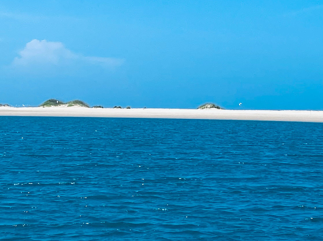 Crystal Coast Ecotours-莫尔黑德城必去景点