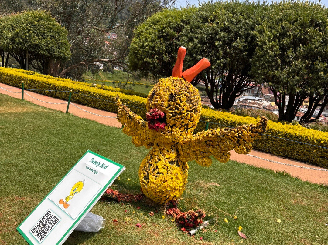Government Rose Garden-乌提必去景点