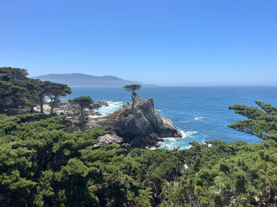 Lone Cypress-圆石滩必去景点