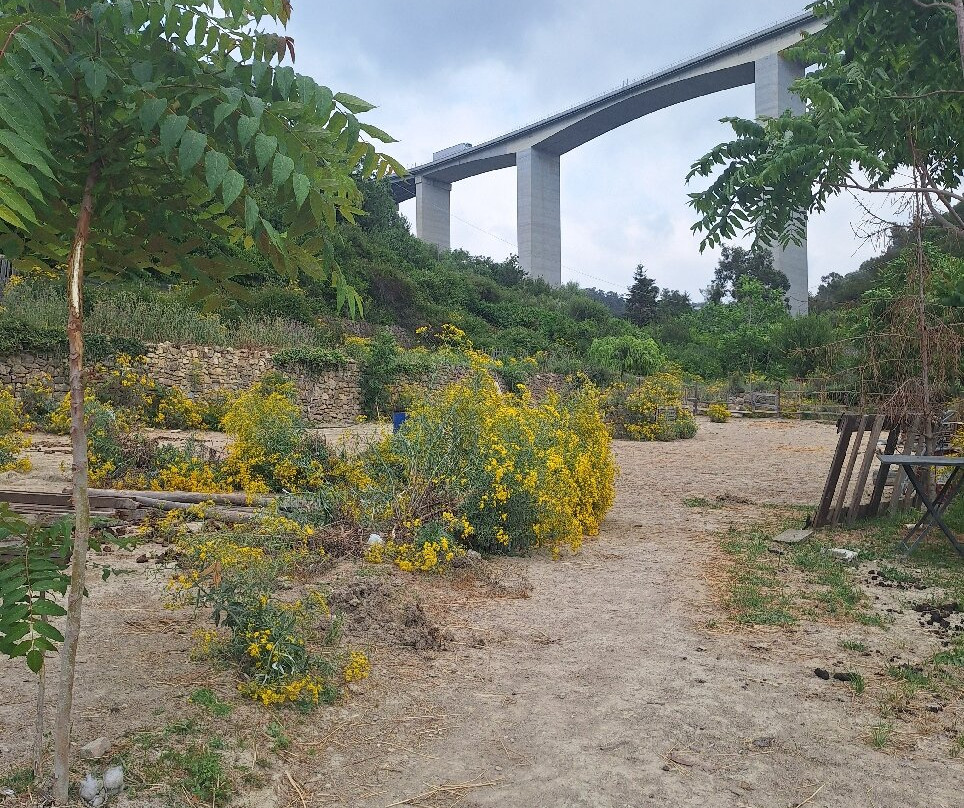 Passeggiata Del Beodo-博尔迪盖拉必去景点