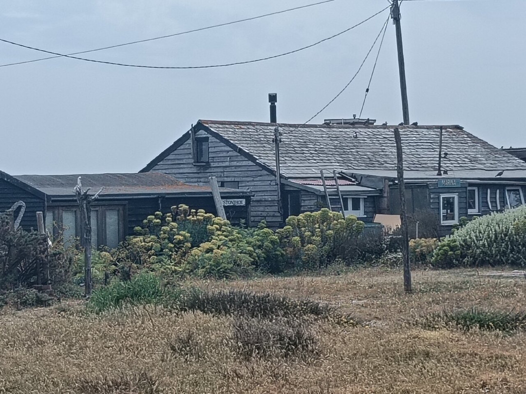Dungeness National Nature Reserve-Dungeness必去景点