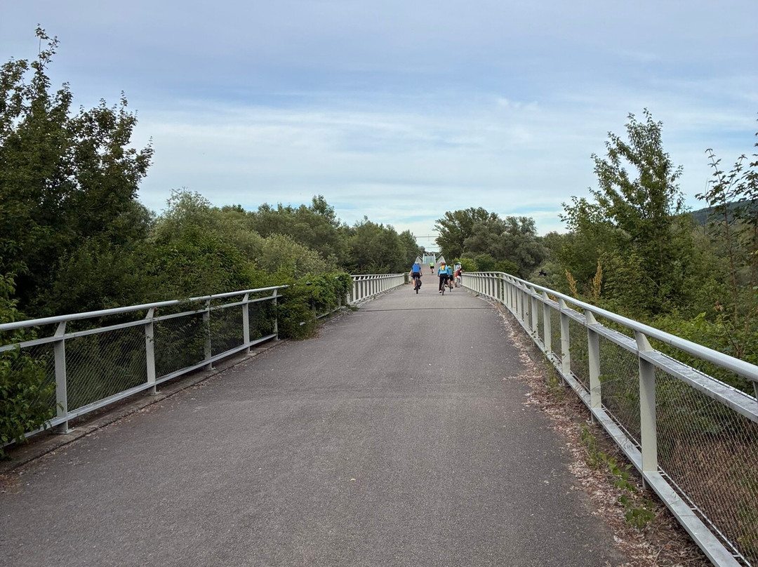 Freedom Cycling Bridge-Devinska Nova Ves必去景点