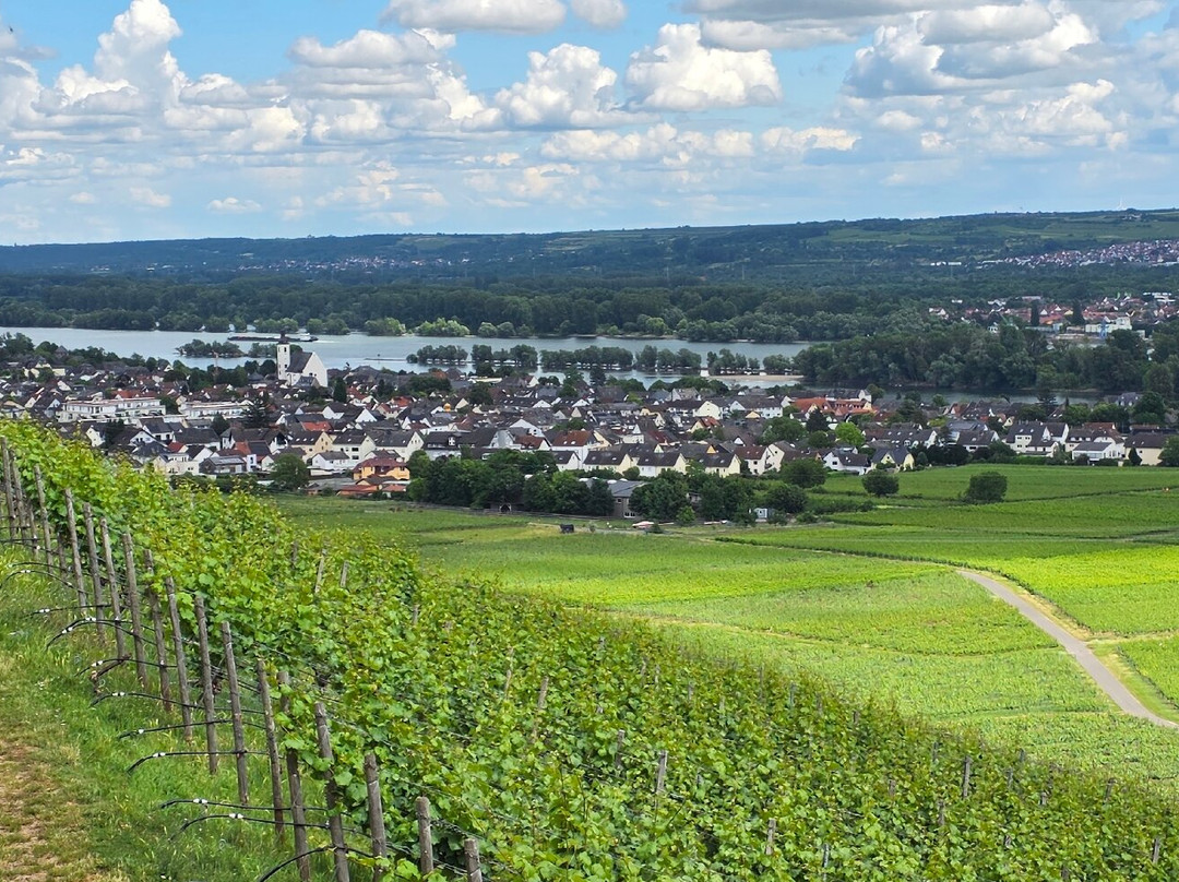 Schloss Johannisberg-盖森海姆必去景点