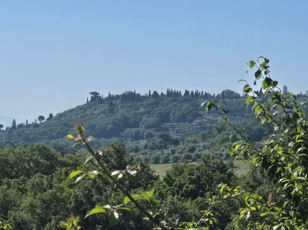Agriturismo Collina degli Ulivi