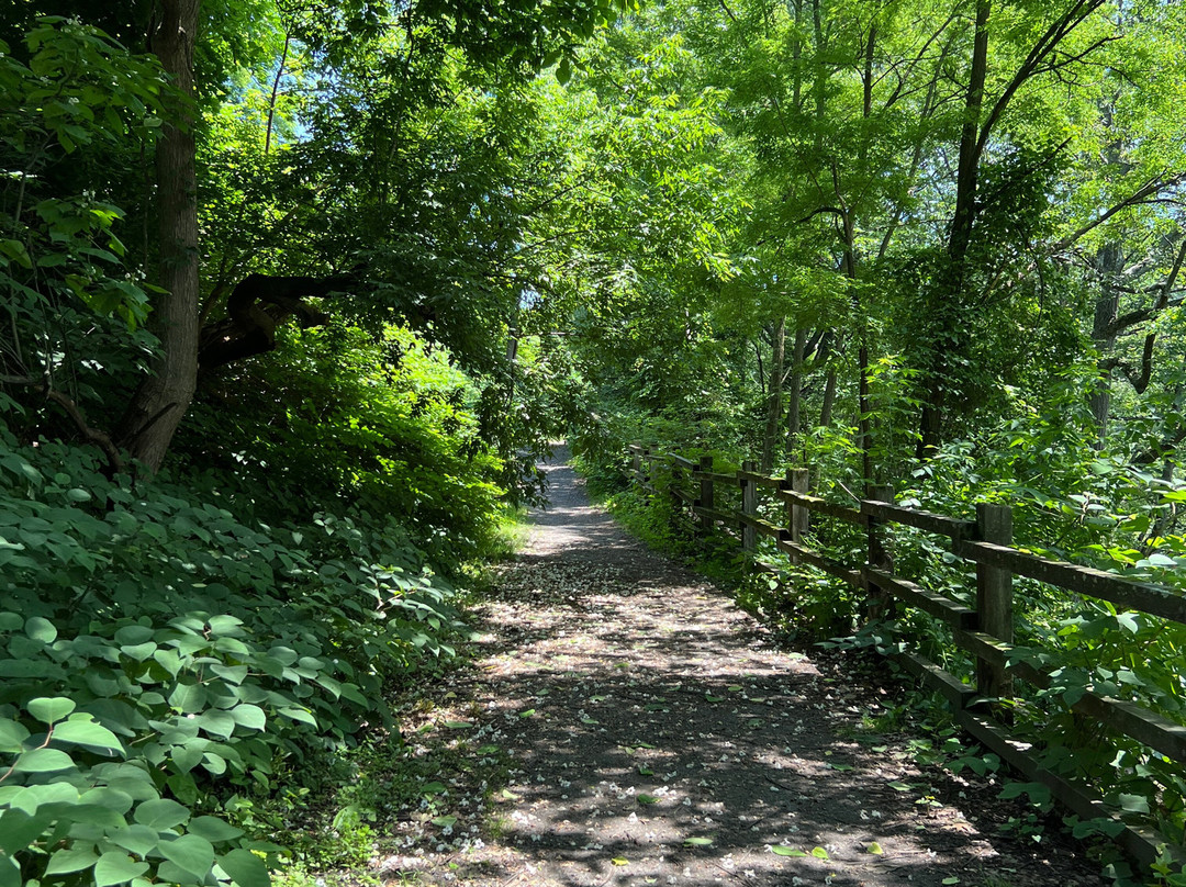 Nay Aug Park-斯克兰顿必去景点