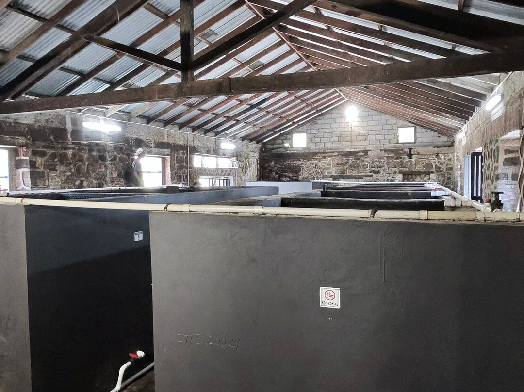 River Antoine Estate Rum Distillery-格林纳达必去景点