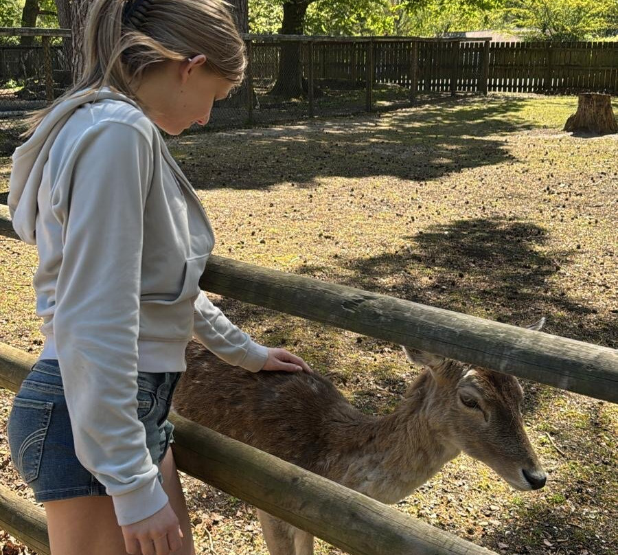 New Forest Wildlife Park-Ashurst必去景点