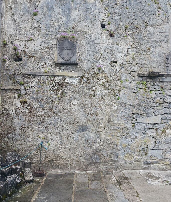 Ennis Friary-恩尼斯必去景点
