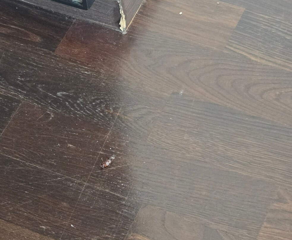 布拉迪斯拉发酒店主图