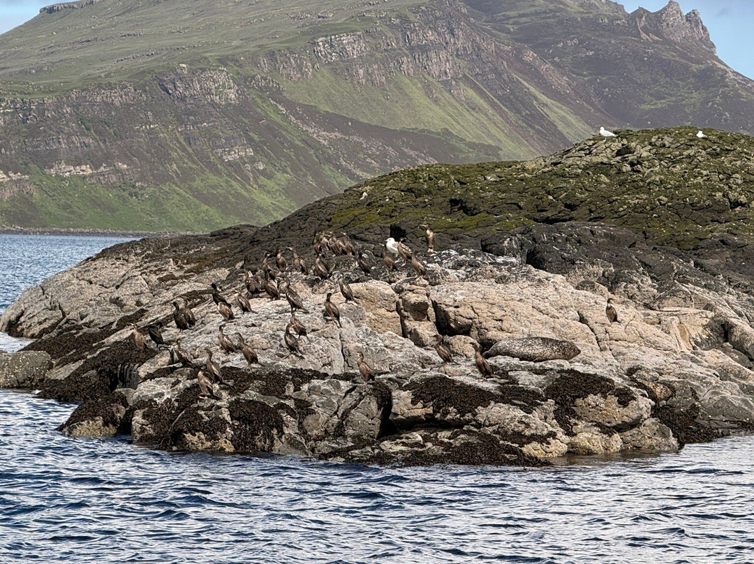 Stardust Boat Trips Portree-Portree必去景点