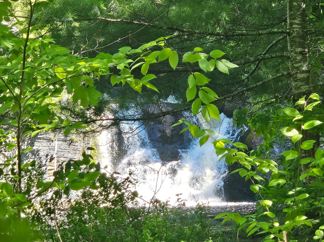 Crystal Falls Hiking Trail-Greenwood必去景点