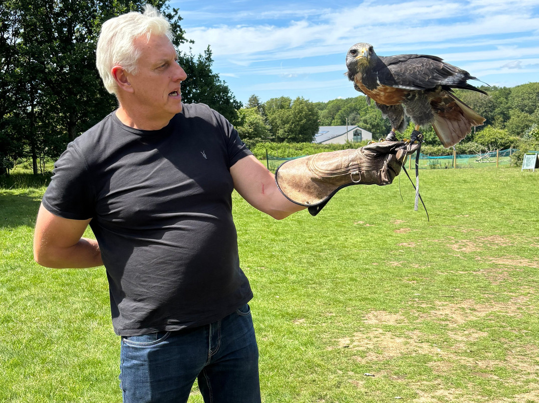 Willows Bird of Prey & Wildlife Trail-Knockholt必去景点