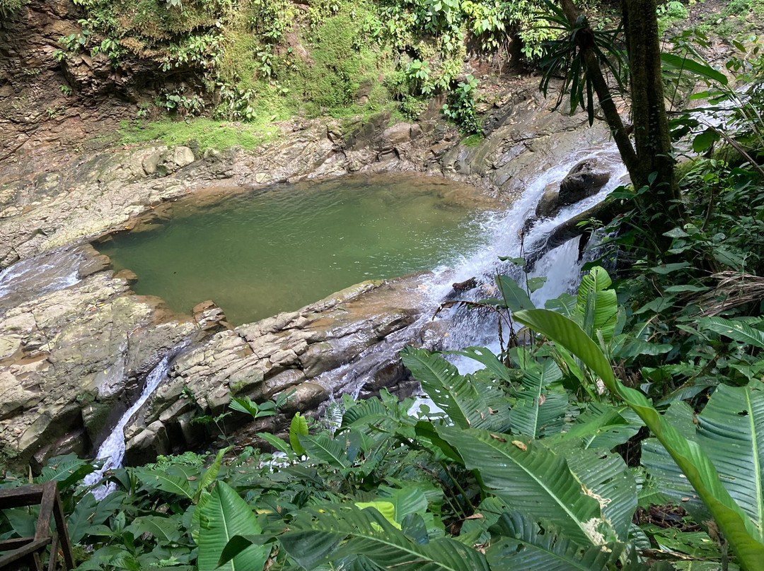 Veragua Rainforest Park-利蒙港必去景点