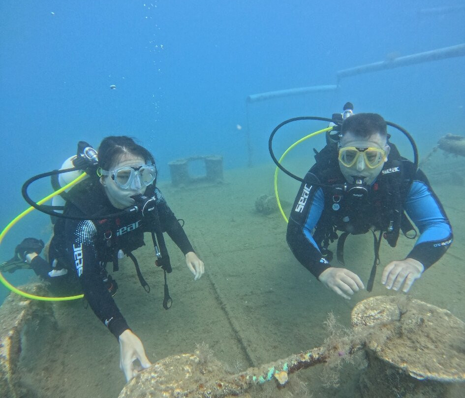 Pro Dive (Ex Blue Thunder Diving)-利马索尔必去景点
