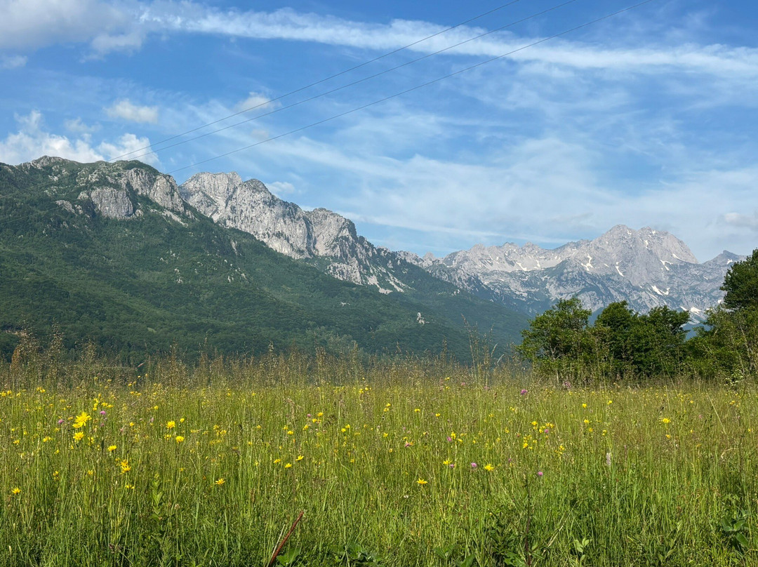 Camp Lipovo
