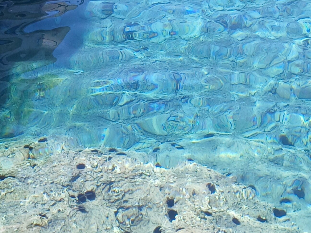 Cala Spalmatoio-Giannutri Island必去景点