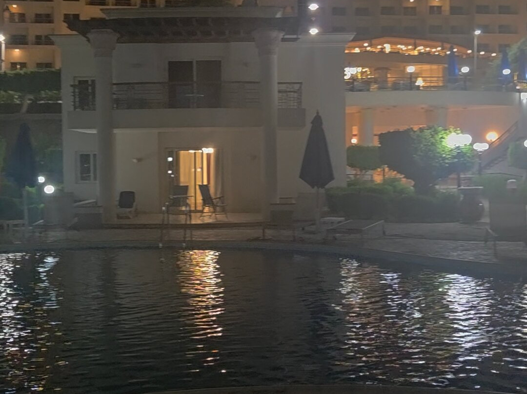 托利普阿斯旺酒店主图