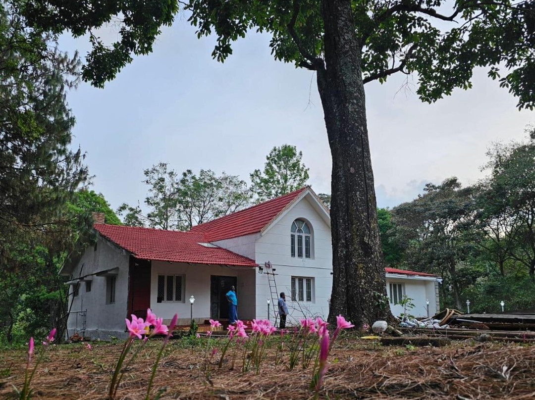 Ckcm Resort
