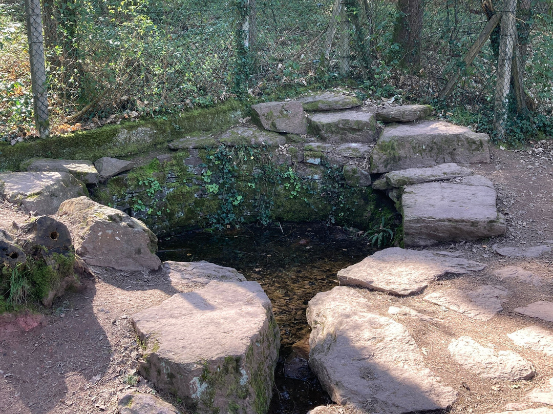 Tombeau de Merlin / Fontaine de Jouvence-Paimpont必去景点