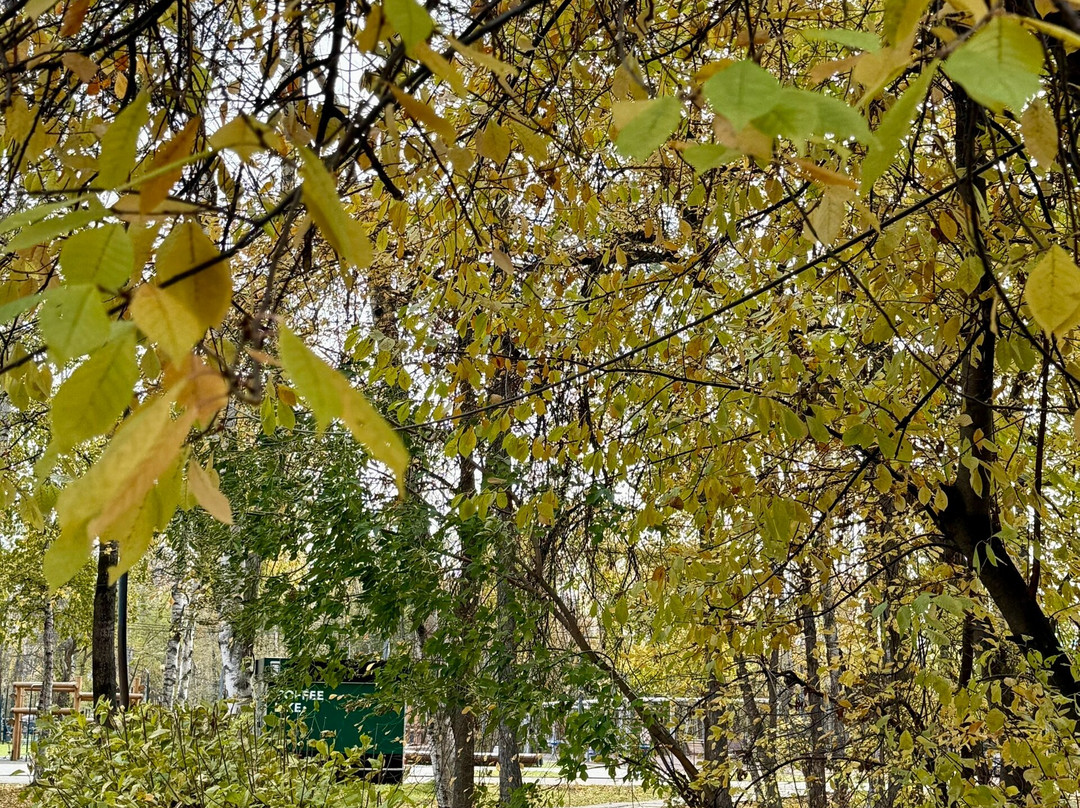 Gagarina Park-Komsomolsk-on-Amur必去景点