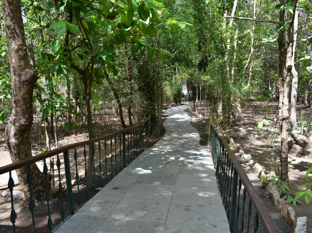 Singinawa Jungle Lodge主图