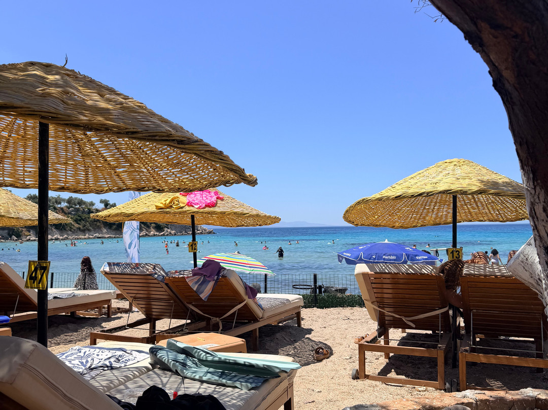 Barselona Beach-迪克利必去景点