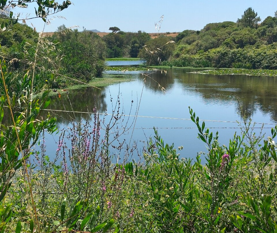 Herdade do Pessegueiro-Porto Covo必去景点
