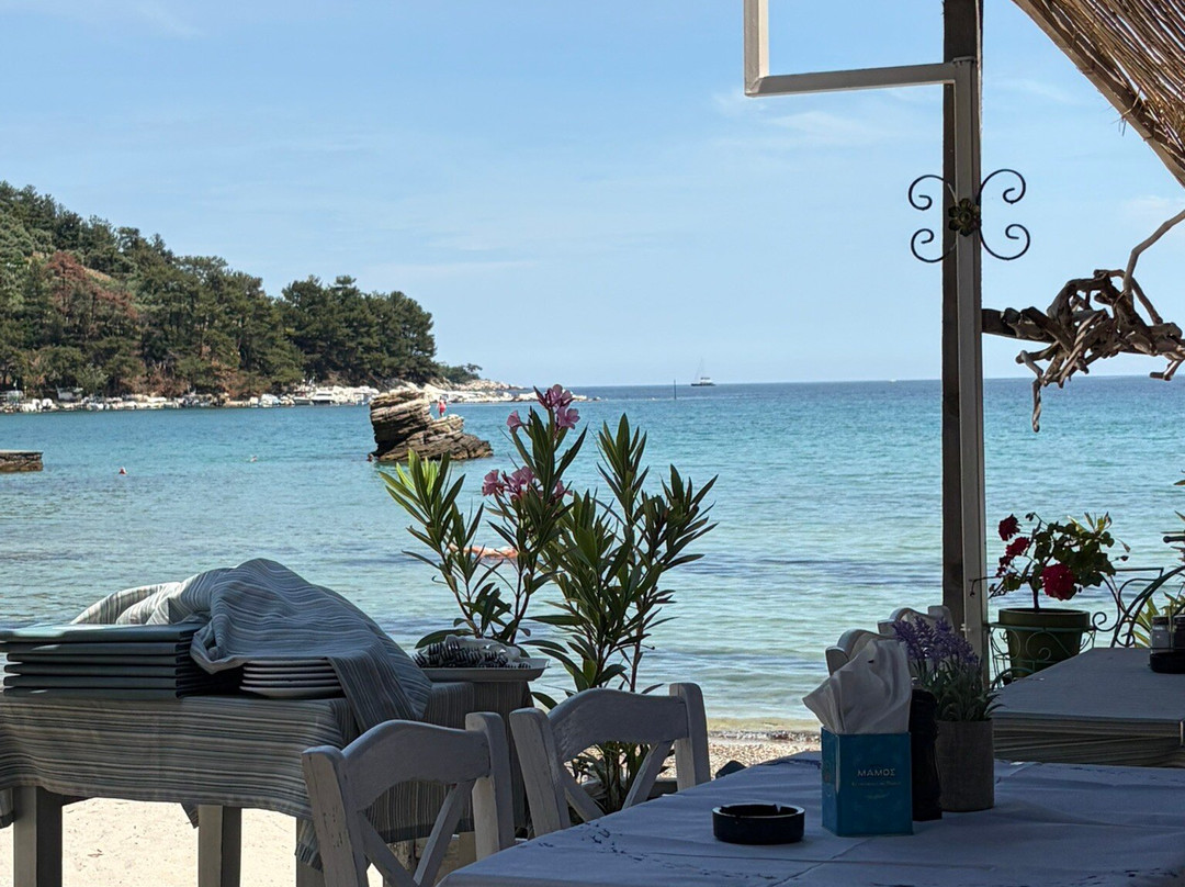Golden Beach-Chrissi Ammoudia必去景点