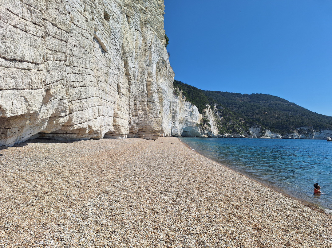 Spiaggia di Vignanotica-维耶斯泰必去景点