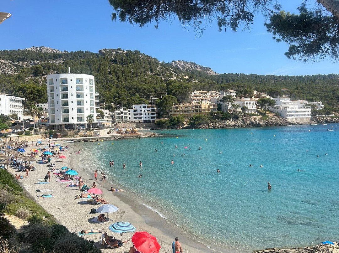 Platja De Sant Elm-Andratx必去景点
