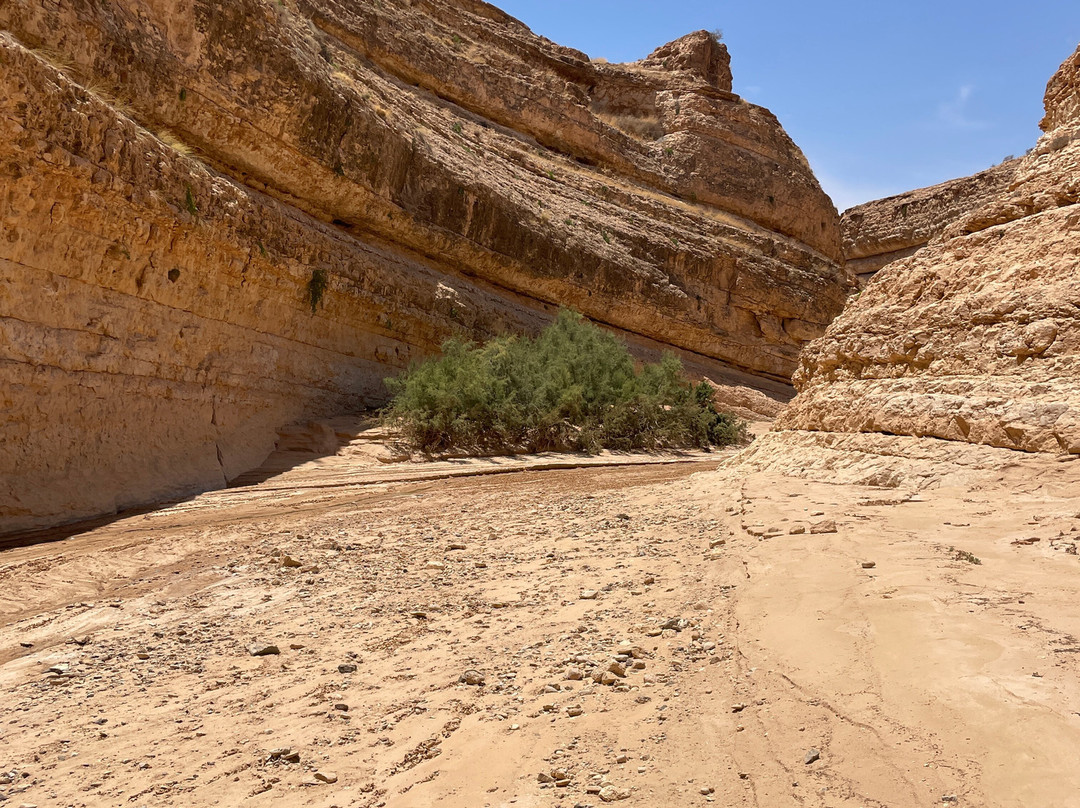 Mides Valley-Tozeur Governorate必去景点
