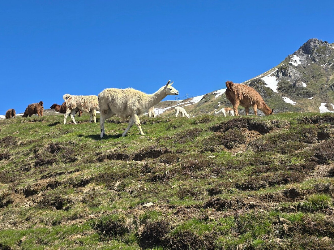 Col de Tourmalet-La Mongie必去景点