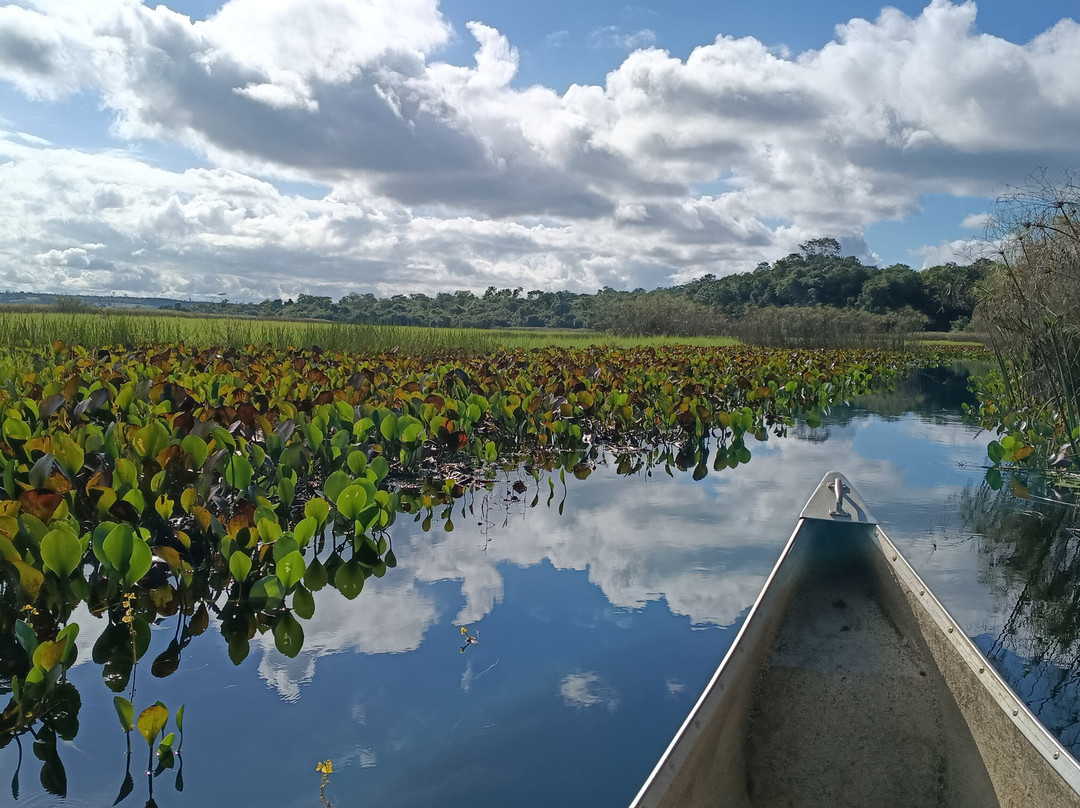 Fazenda Marimbus-迪亚曼蒂那国家公园必去景点