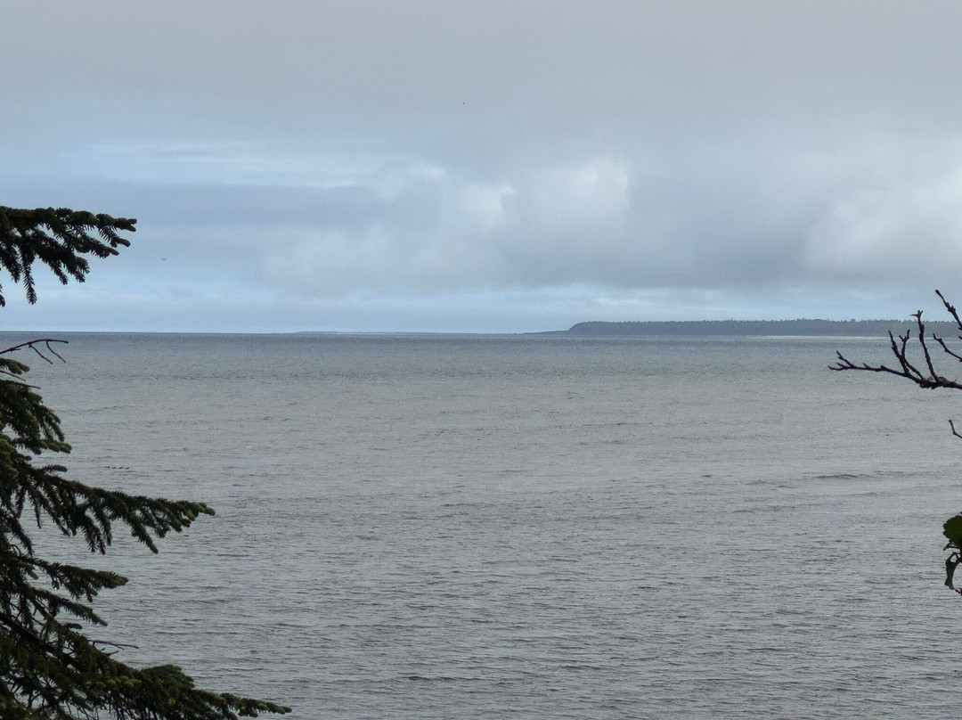 Tow Hill Provincial Park-Masset必去景点