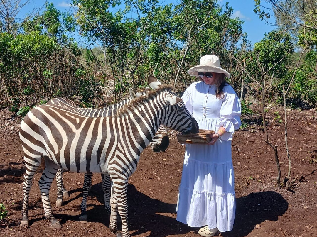 Triple J Zanzibar Tours And Transfers
