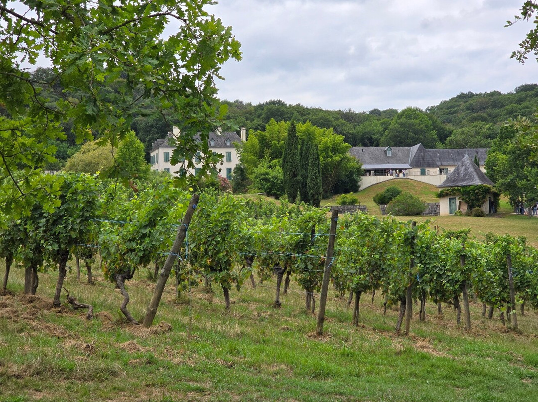 Domaine du Cinquau