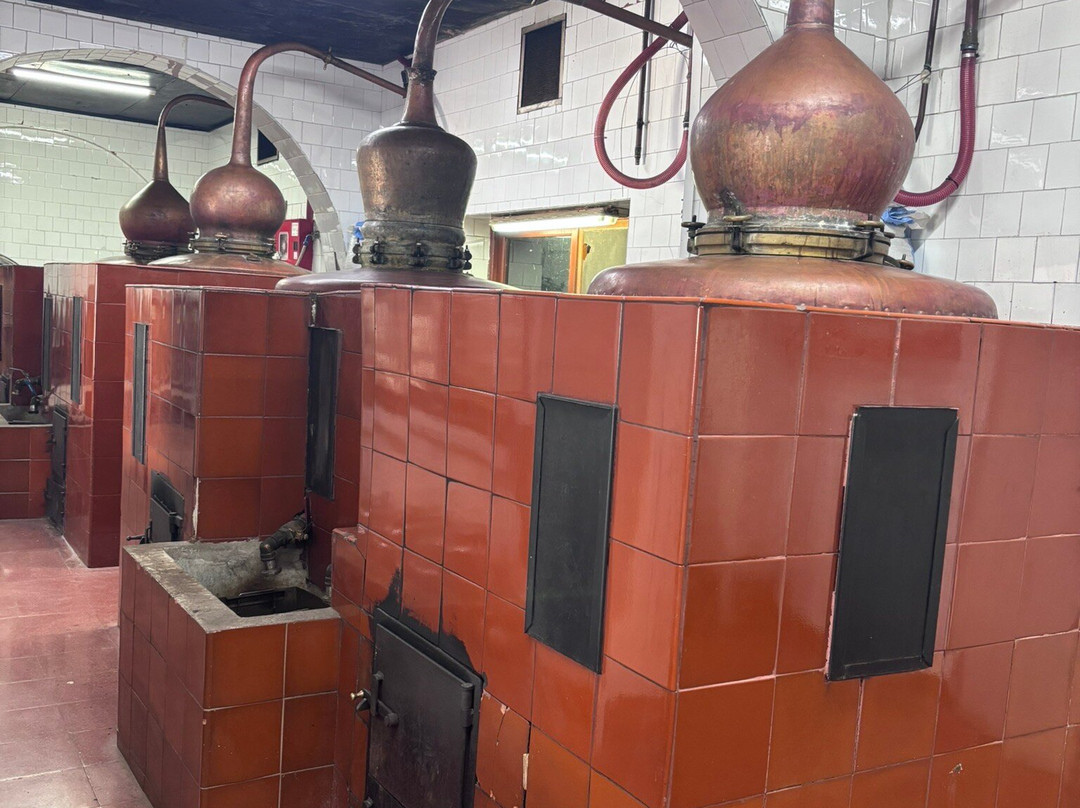Xoriguer Gin Factory-Maó必去景点