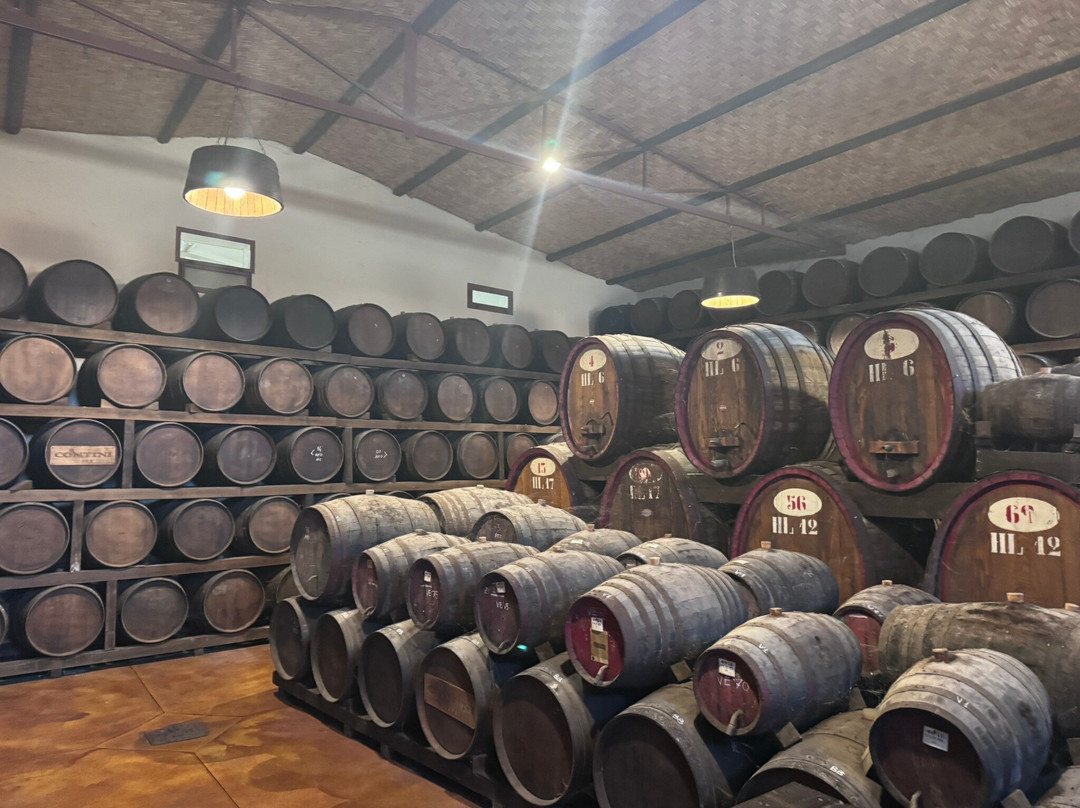 Azienda Vinicola Contini-卡布拉斯必去景点