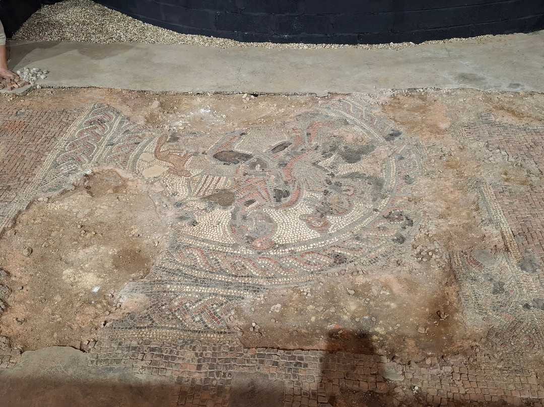 Brading Roman Villa-Brading必去景点
