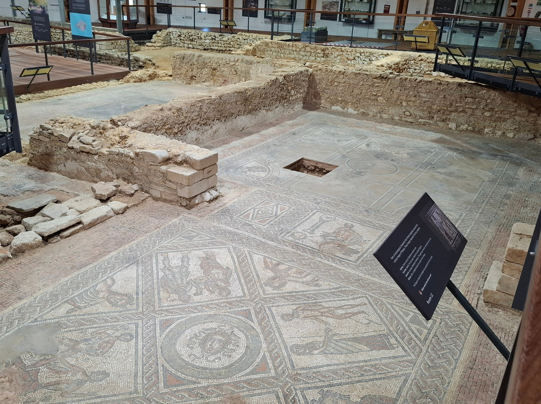 Brading Roman Villa-Brading必去景点