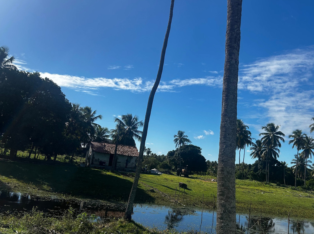 Farol da Foz Ecoturismo-Piacabucu必去景点