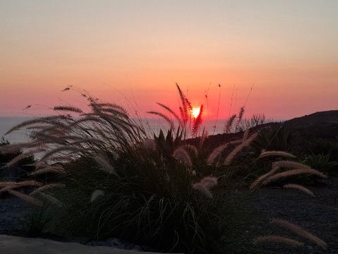 达姆斯秀维奇度假村-旅行者