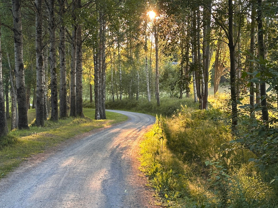 Dalsland Camping & Kanotcentral