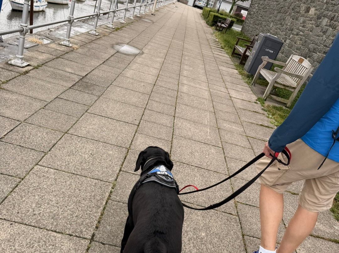 Porthmadog Harbour-波特马多克必去景点
