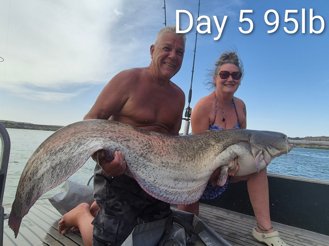 River Ebro Catfishing Holidays-Caspe必去景点