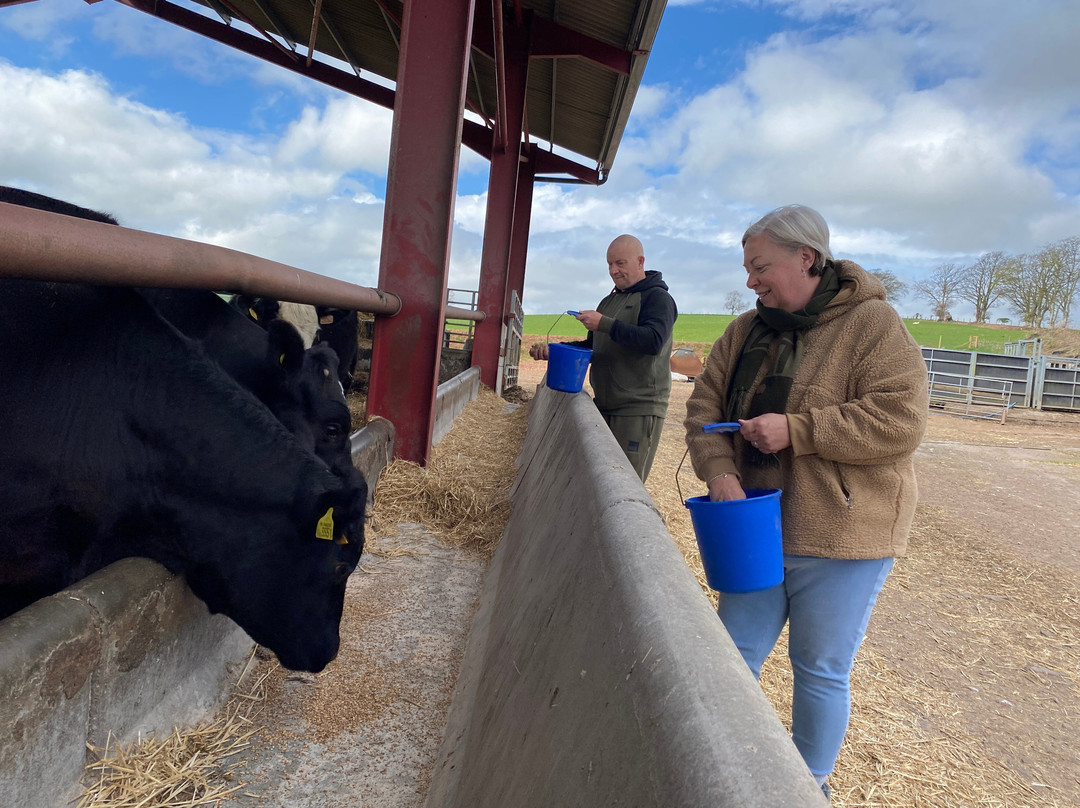 Bairnkine Farm Tours-Jedburgh必去景点