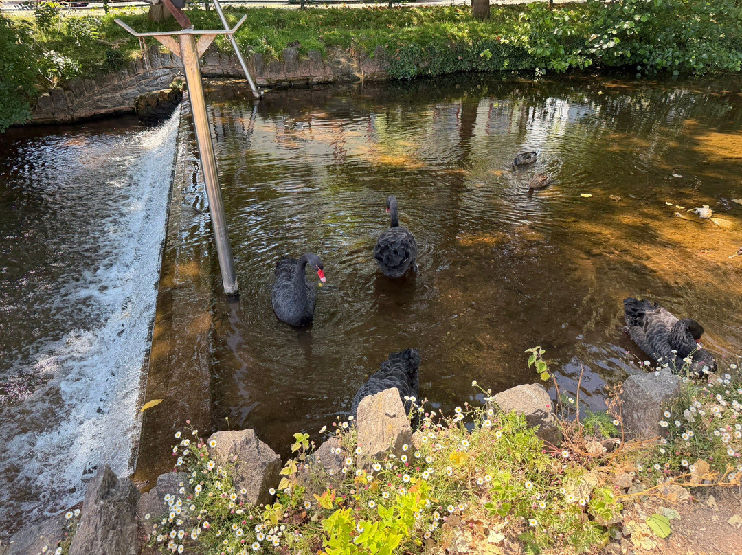 拉马斯公园之家旅馆主图